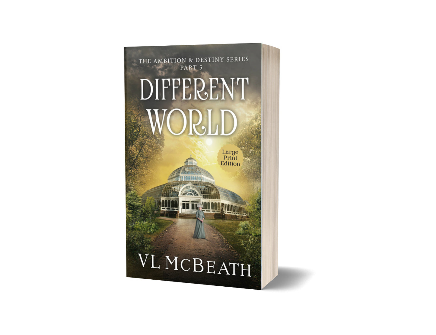 Different World Large Print Paperback