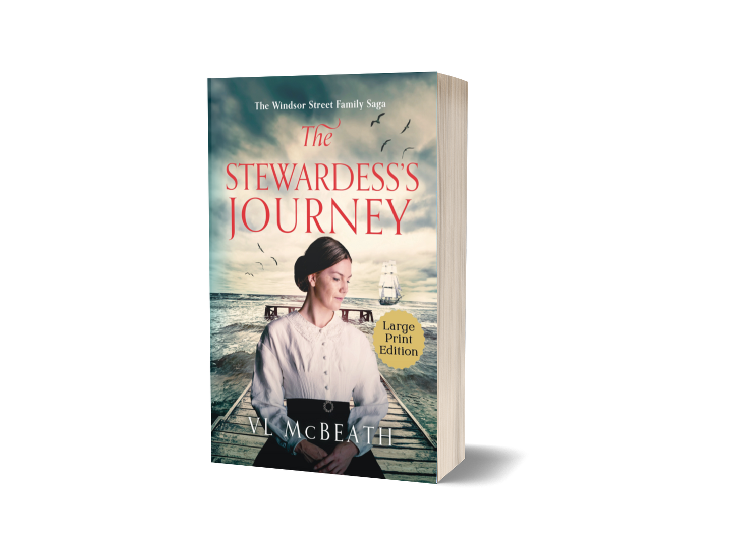 The Stewardess's Journey Large Print Paperback