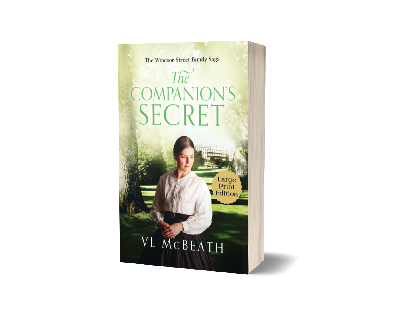 The Companion's Secret Large Print Paperback