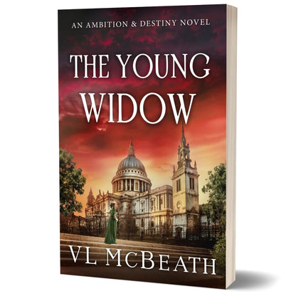 The Young Widow Paperback