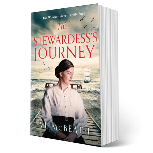 The Stewardess's Journey Paperback